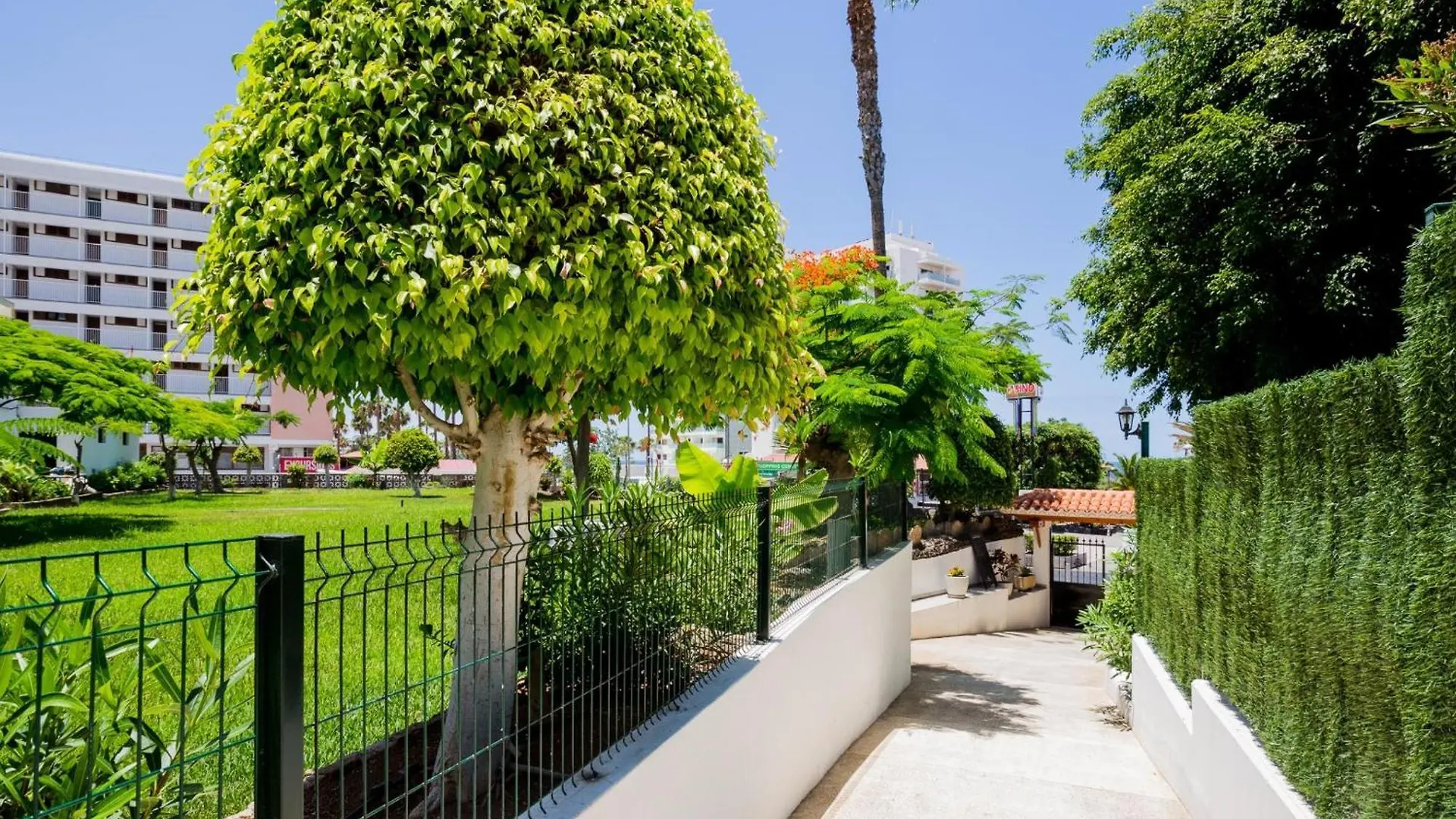 Apartment 41 Copacabana Ocean View Pool Playa de las Americas  Spain